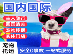 十堰武当山空运国际宠物托运 【国